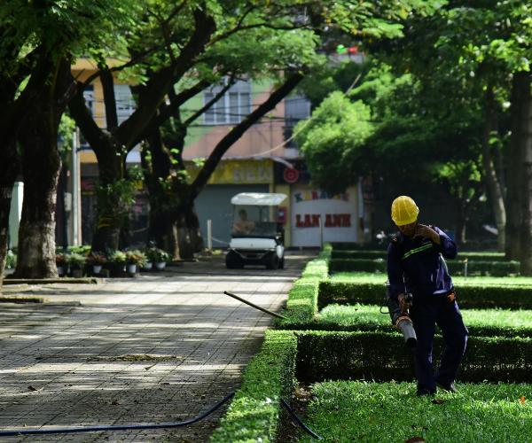 Man wearing a yellow hard hat uses a leaf blower to clear clippings and leaves from landscaped area of a public park.