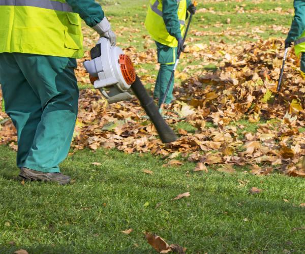 Lucky’s Landscaping and Tree Service using a leaf blower and rakes to handle fall leaf cleanup on a residential property.