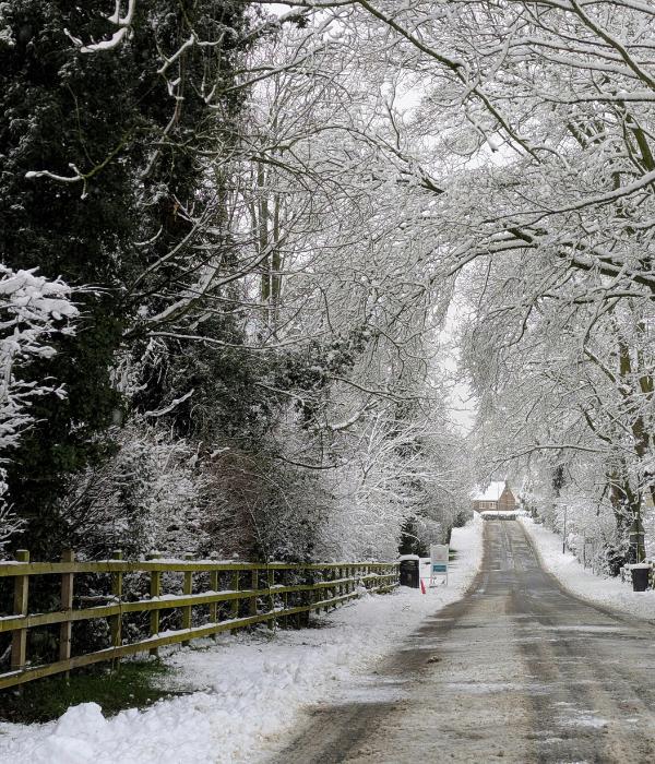 Plowed road during continued snowfall, with snow still accumulating on a tree-lined roadway.