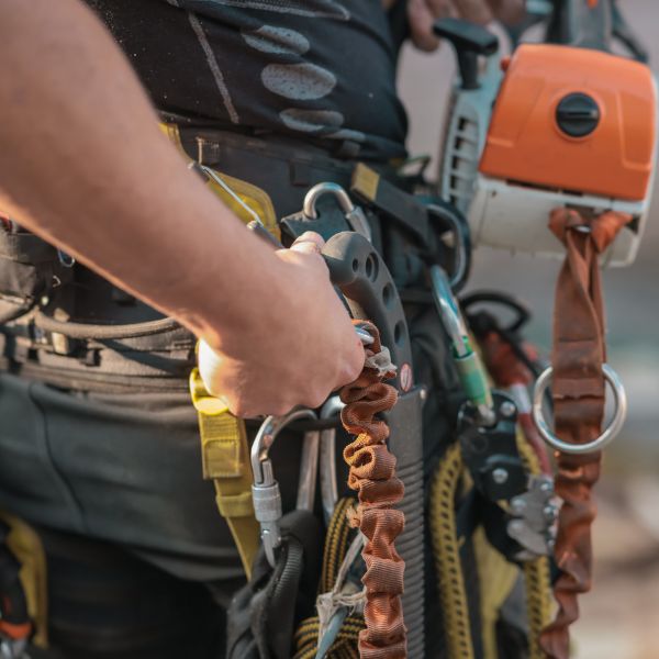 Close up of Certified Arborist's safety gear on his hip and a small chainsaw in hand.