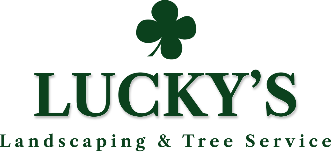 lucky's-logo-bold